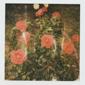 韩国一级黄色片
