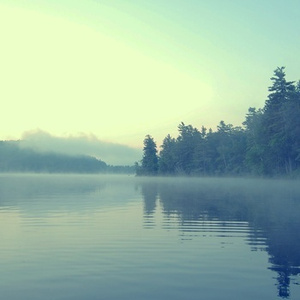 韩国一级黄色片
